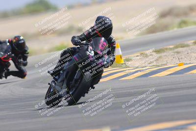 media/Sep-30-2023-SoCal Trackdays (Sat) [[636657bffb]]/Turn 15 (1120am)/